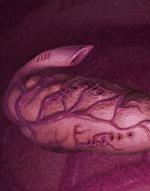 Mouther Egg