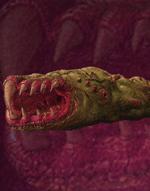 Mouther Adult
