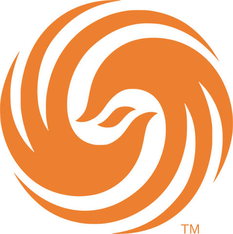 File:Phoenix Television.png