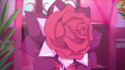 Rosy