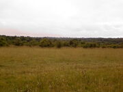 Photo-0029