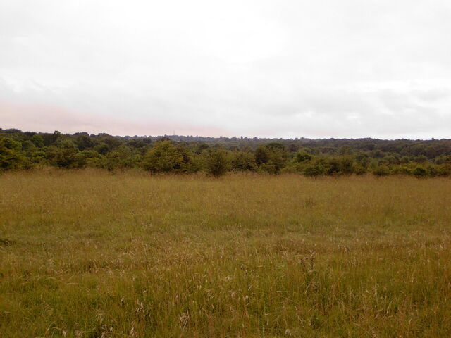 File:Photo-0029.jpg