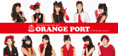 ORANGE PORT2