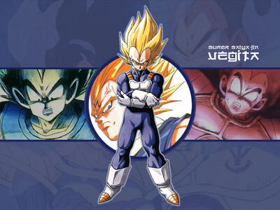 Vegeta wallpaper