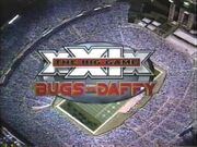 BigGame29