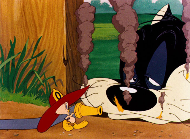 File:Birdy and the Beast (19).jpg