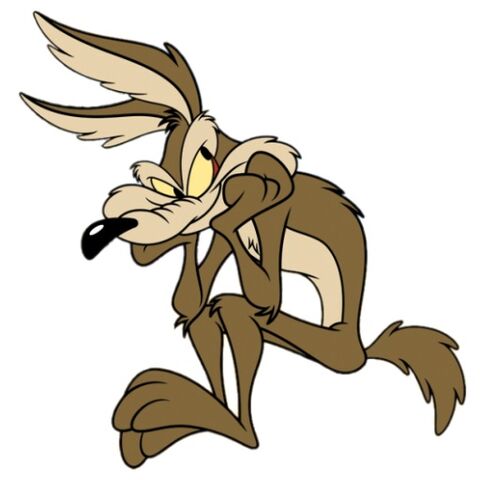 File:Poor Mr, Coyote.jpg