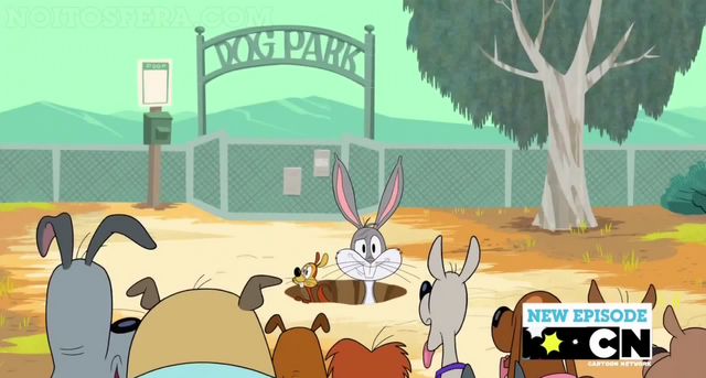 File:BUGSSS.png