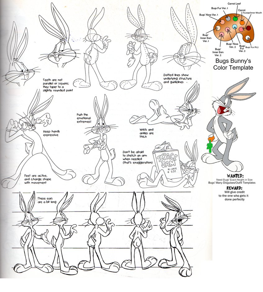 Image - Bugs Bunny Model Sheet Ver. 1.jpg | Looney Tunes Wiki | FANDOM ...