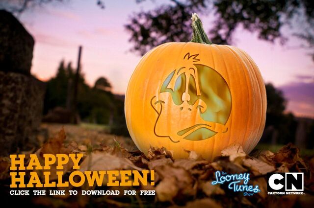 File:Daffy Pumpkin.jpg