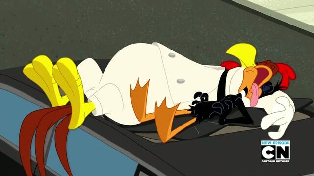 File:Dxm7.jpg