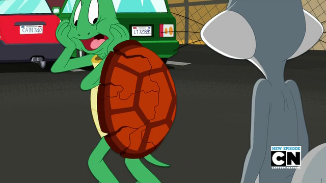 File:Vlcsnap-2013-07-03-21h22m25s216.png