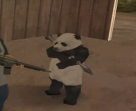 Pandita.jpg