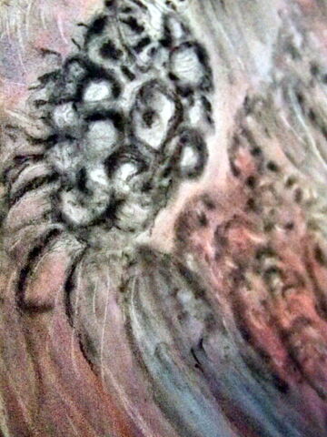 Archivo:Nebulosas sirpion.jpg