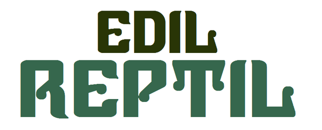 Archivo:Edilreptil.png