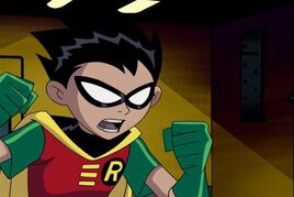 Robin5.jpg