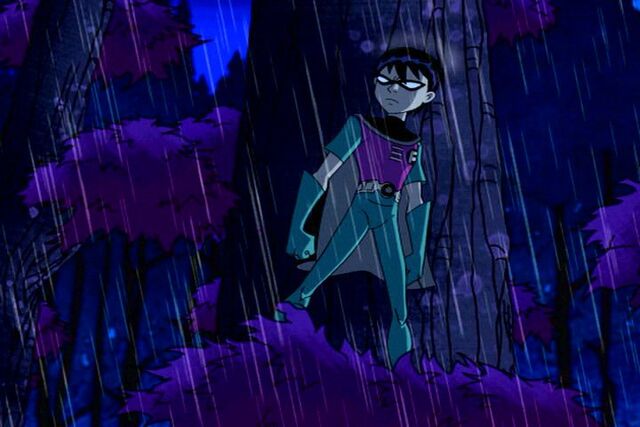 Archivo:Robin10.jpg