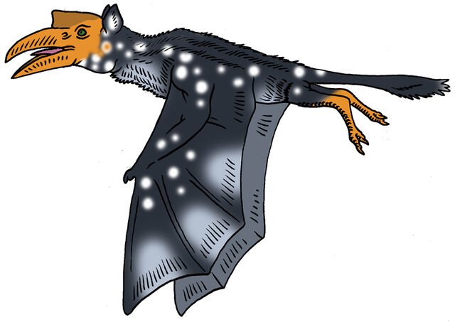 File:Sky Stalker.jpg