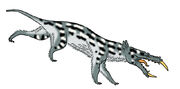 Primeval sabre shrew by pristichampsus