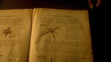 Caltrop (310)
