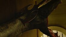 Amphisbaena tail (Engelram) (401)