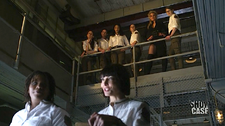 Amazons (301)