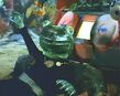 Frog Alien