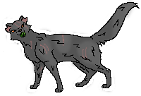 File:Yellowfang1.png