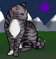 Thumbnail for version as of 16:11, November 13, 2011