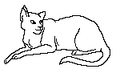 Thumbnail for version as of 18:17, November 19, 2011
