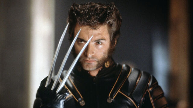 File:Thisisforthewikis.jpg