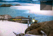 Regenerate