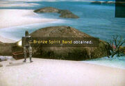Bronze-spirt-band