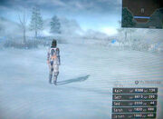 Snowfield-01