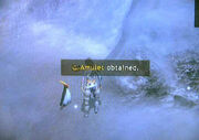 Amulet