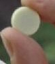 File:White Backgammon.jpg