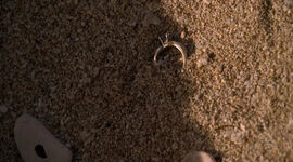 2X05-AndFound.jpg