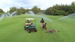 4x03 Sprinklers.jpg