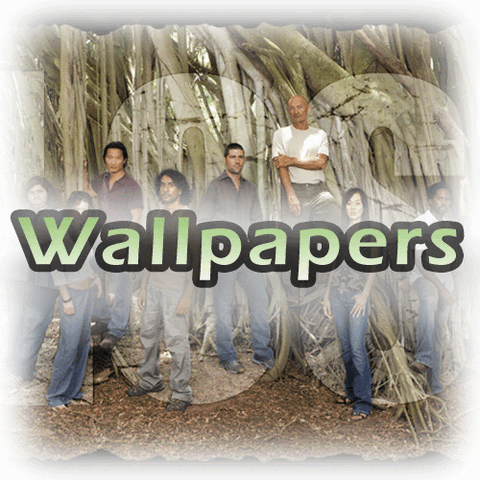 Ficheiro:Wallpapers m.gif
