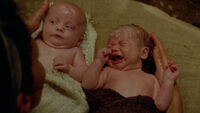 6x15thetwins.jpg