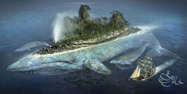 File:Whale-of-a-picture.jpg