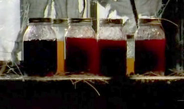 File:Jars.jpg