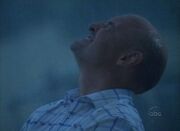 JohnLluvia.jpg