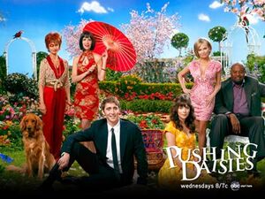 Pushing daisies5