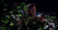 5x12 SpyingOnTheFrench.jpg