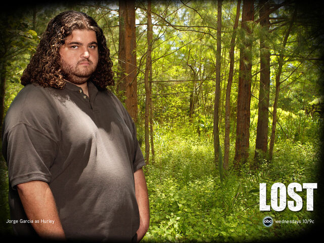 Ficheiro:1024x768 hurley.jpg