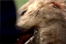 Ficheiro:T1x02.png
