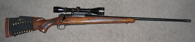 File:Winchester 70 .308.jpg
