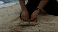 Findingcable.jpg
