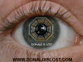 Thumbnail for version as of 15:19, October 25, 2008